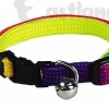 Rainbow cat collar