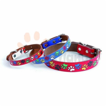 Leather collar, with multicolored 