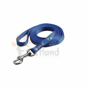 Cat lead with 