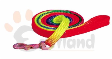 Rainbow cat lead