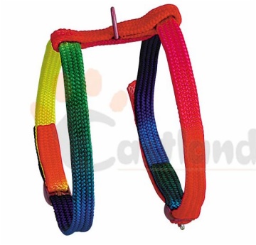 Rainbow harness