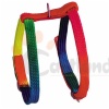 Rainbow harness