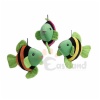 Tropical fish
