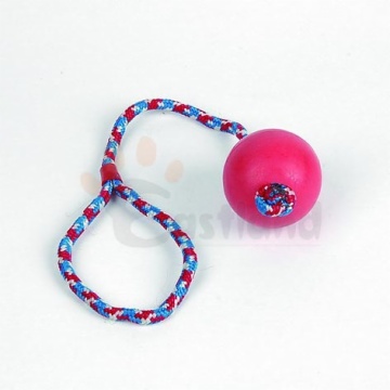 Rubber toy - ball with rope