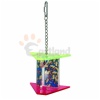 Acrylic toy