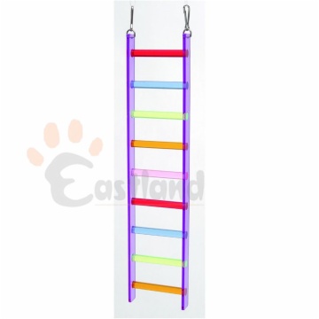 Acrylic ladder, with clip hooks