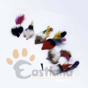 Twin-colored fur mouse with colorful feathers