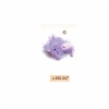 Mini baby animals with bell & catnip