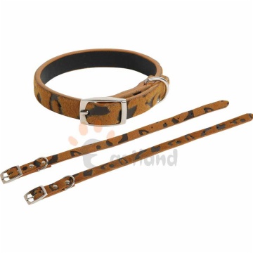 Leather collar, with 