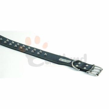 Leather collar, with 