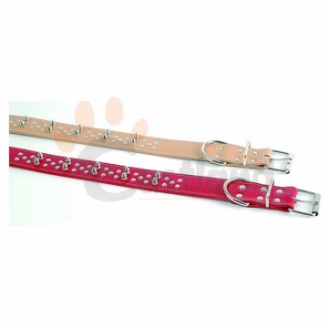 Leather collar, with 