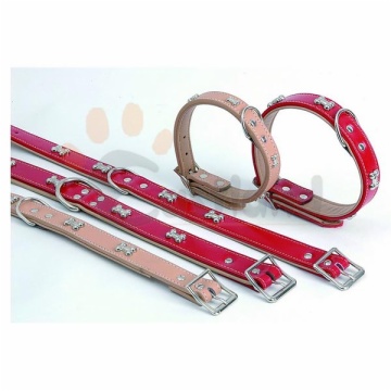 Leather collar,with 