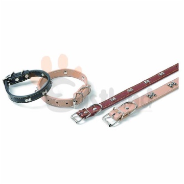 Leather collar, with 