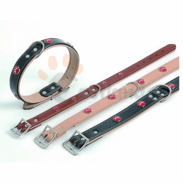 Leather collar, with 