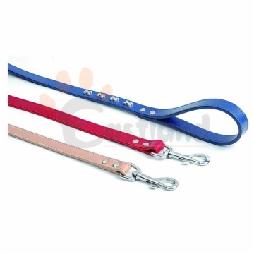 Leather lead, with 
