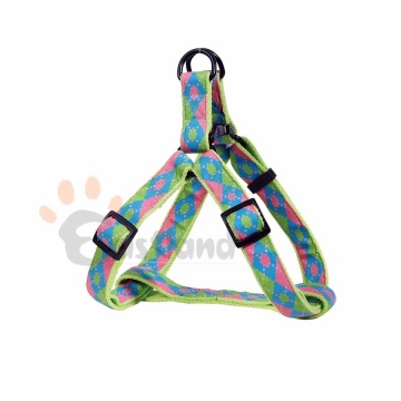 Casanblanca Series - harness, adjustable